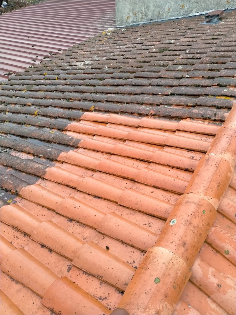 Détail d'une toiture en tuiles, avant et après démoussage